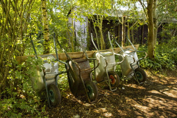 BoerenBed De Lange Weide - photo 14