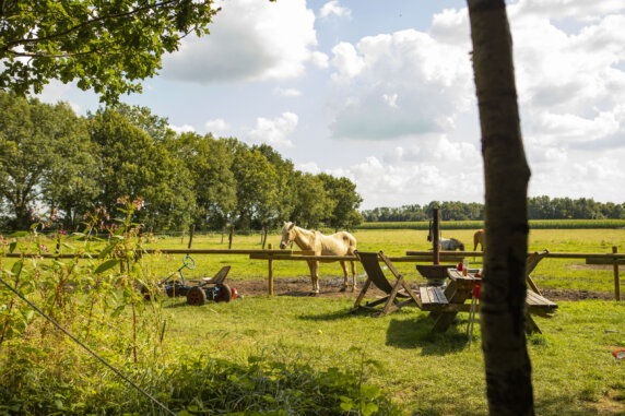 BoerenBed De Lange Weide - photo 19