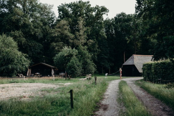 BoerenBed Landgoed Volenbeek - photo 19