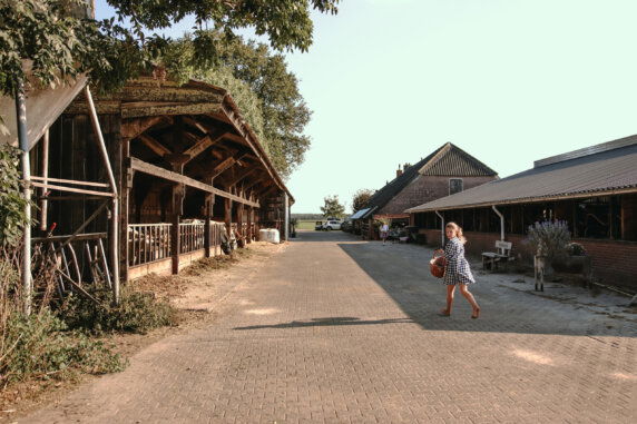 De Kalverweide - photo 14