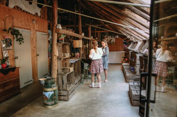 De Kalverweide - photo 17