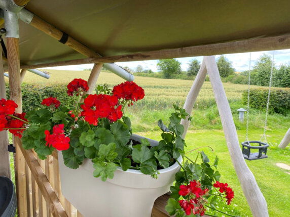 Camping La Dolce Vita - photo 15