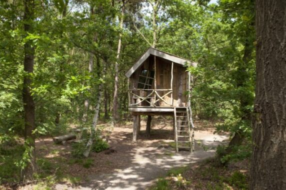 Camping de Norgerberg - photo 2