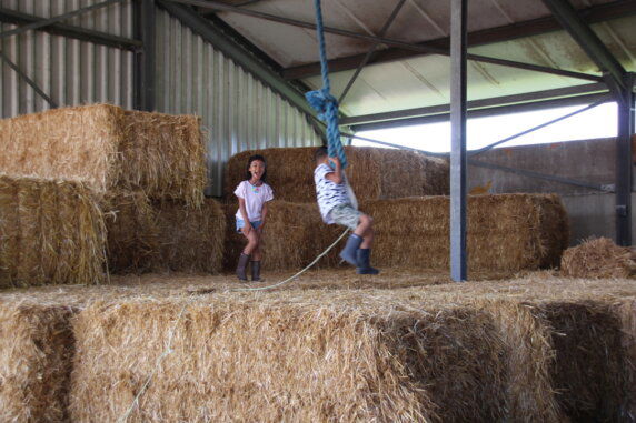 BoerenBed De Brabantse Hei - photo 12