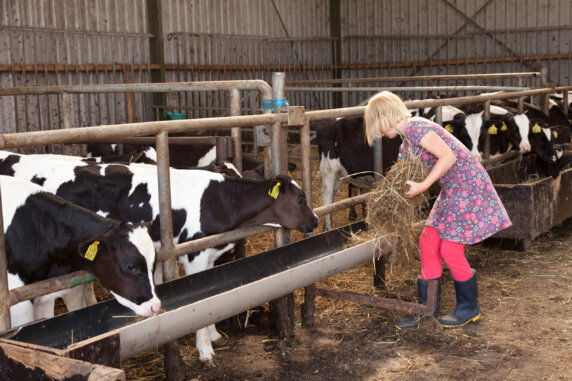 BoerenBed Hoeve Zeeland - photo 13