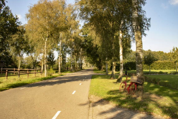BoerenBed De Brabantse Hei - photo 9