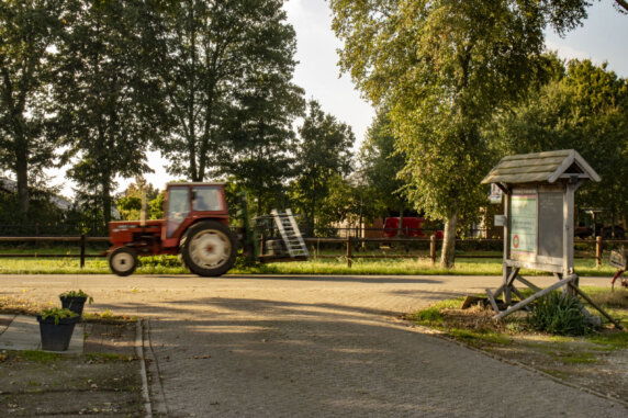 BoerenBed De Brabantse Hei - photo 14