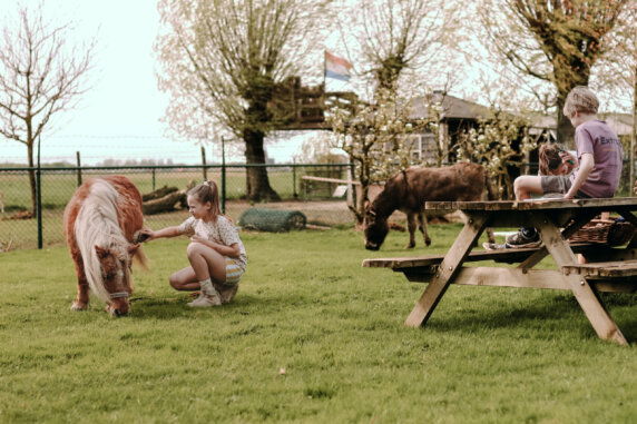 WiesenBett Hoeve de Betuwe - photo 2