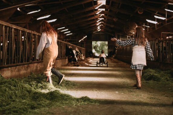 BoerenBed De Pippert - photo 22