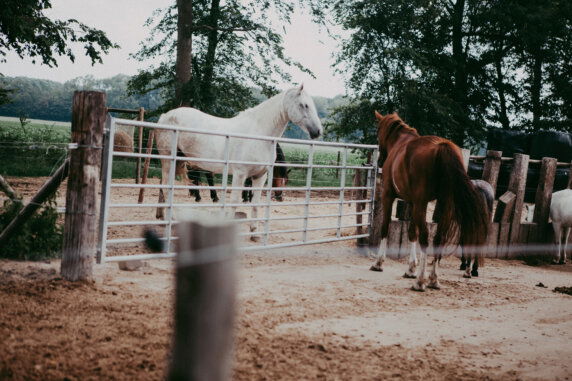 BoerenBed Hoeve Zeeland - photo 4