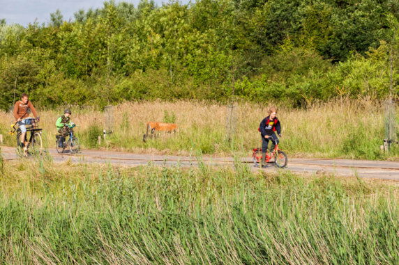 BoerenBed Hoeve Zeeland - photo 8