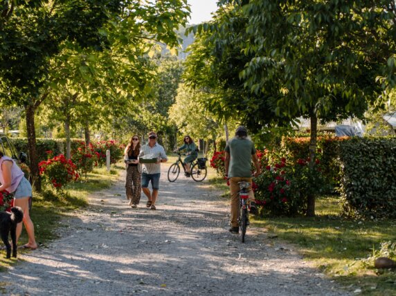 Camping Du Pont - photo 10