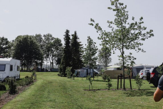 Boerderijcamping Spitsbroek - photo 7