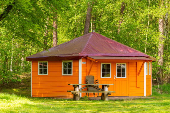 Kampeerbungalow Heldense Bossen - photo 2