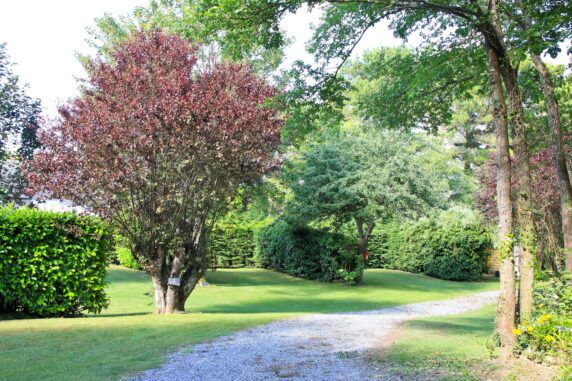 Sites Et Paysages Du Pouldu - photo 11