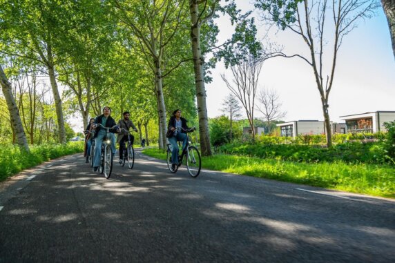 Droompark Buitenhuizen - photo 10