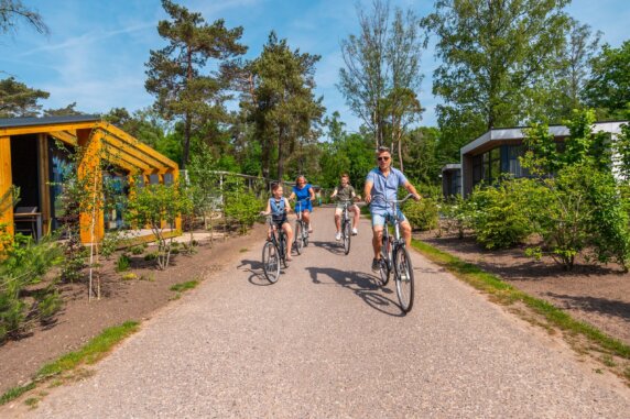 EuroParcs De Hooge Veluwe - photo 14