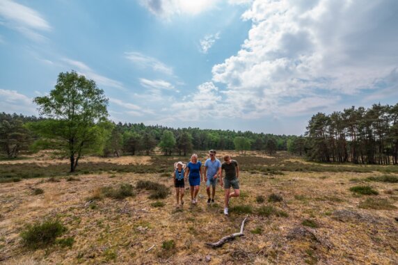 EuroParcs De Hooge Veluwe - photo 15