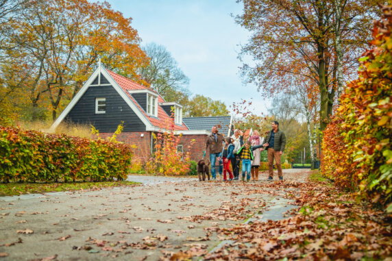 EuroParcs De Hooge Veluwe - photo 3