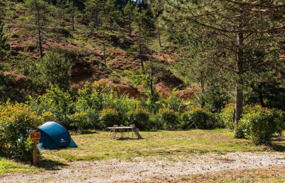 Flower Camping Innature - photo 1
