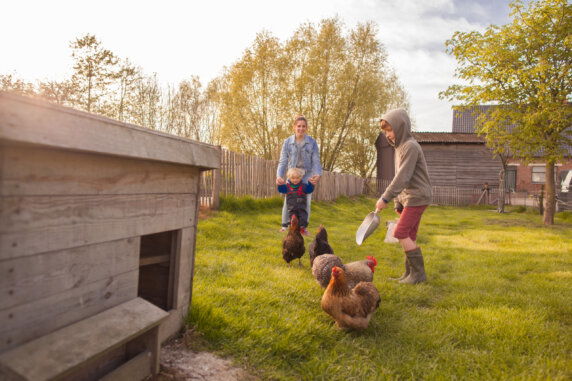 Boerenbed Hoeve den Overdraght - photo 9