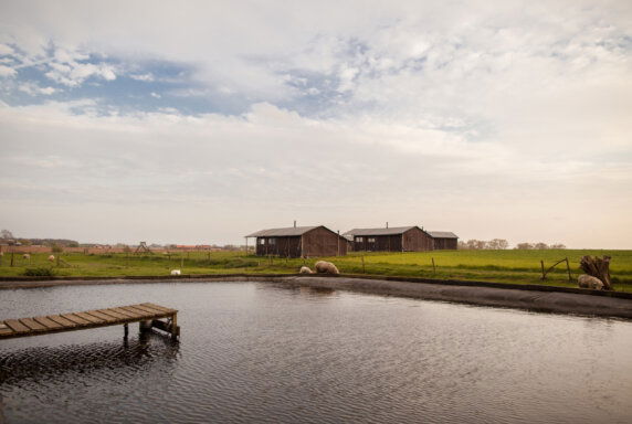 Boerenbed Hoeve den Overdraght - photo 5