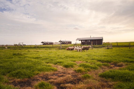 Boerenbed Hoeve den Overdraght - photo 1