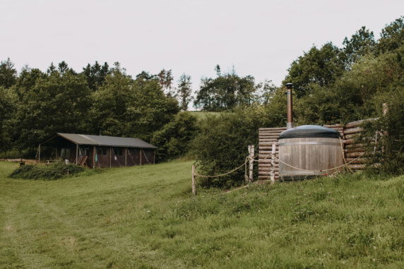 Boerenbed Ferme de Rochefort en Ardenne - photo 3