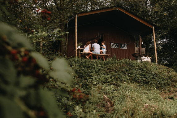 Boerenbed Ferme de Rochefort en Ardenne - photo 11