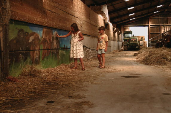 Boerenbed Ferme de Rochefort en Ardenne - photo 12