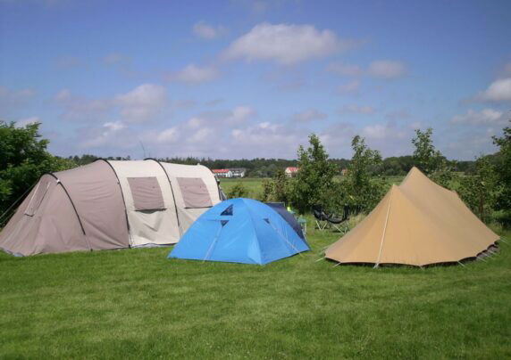 Camping Zijm - photo 5