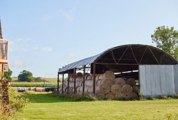 Boerenbed College Farm - photo 3