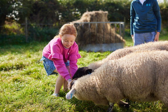 Boerenbed College Farm - photo 9