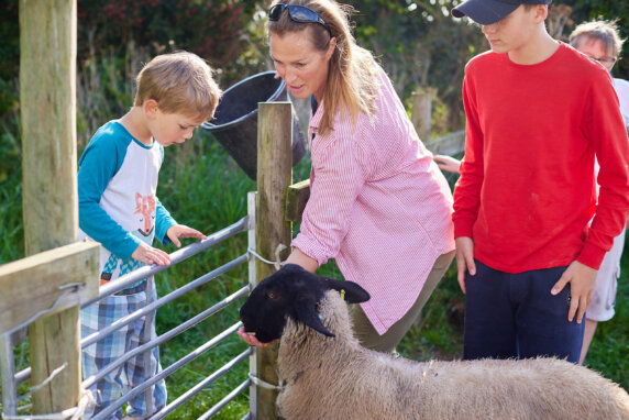 Boerenbed College Farm - photo 10