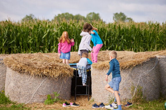 Boerenbed College Farm - photo 11