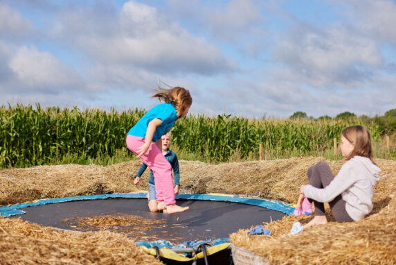 Boerenbed College Farm - photo 12