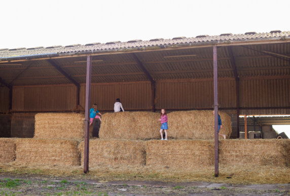 Boerenbed College Farm - photo 13