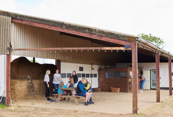 Boerenbed College Farm - photo 17
