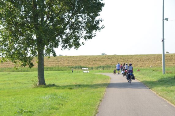 De Meeuw - photo 7