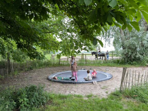 Stadsboerderij De Sibbe - photo 4