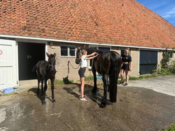 Stadsboerderij De Sibbe - photo 12