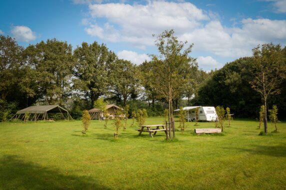 Camping De Oude Trambrug - photo 11