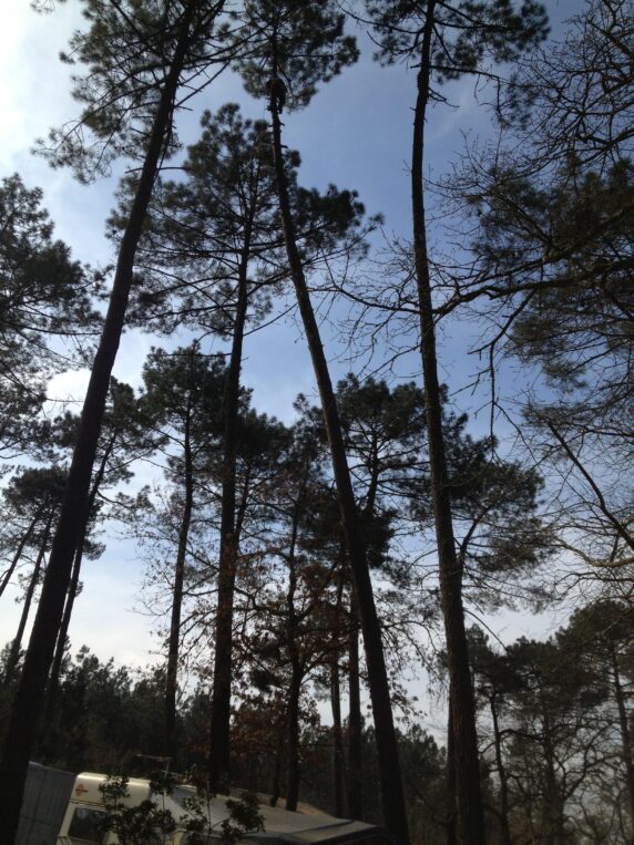 Camping Vert Bord&#8217;eau - photo 16