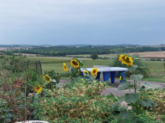 Domaine Des Cadets De Gascogne - photo 8