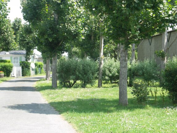 Camping Le Maine - photo 2