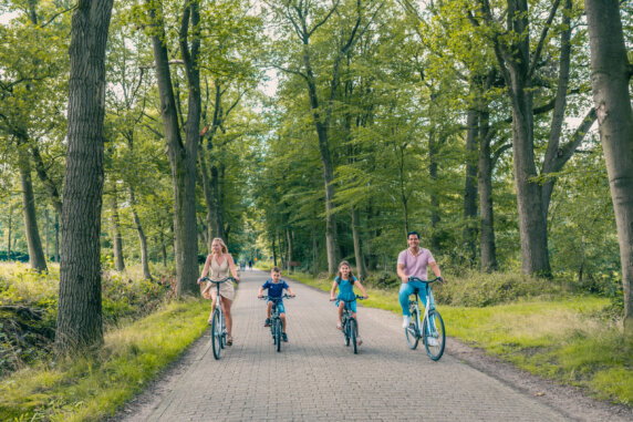 EuroParcs De Utrechtse Heuvelrug - photo 10