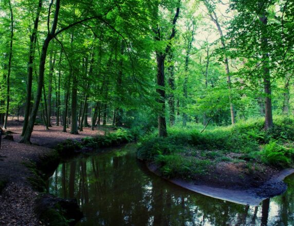 Glamping Limburg – Tipi tent – Camping De Witte Vennen - photo 17