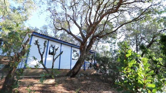 Camping U Pinarellu - photo 6