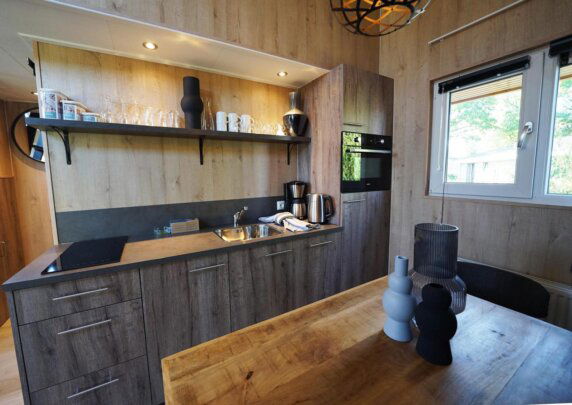 Tiny House in Biddinghuizen - photo 2