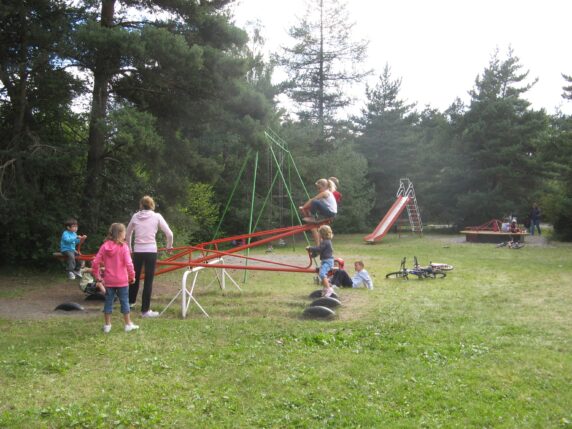 Photo 7
